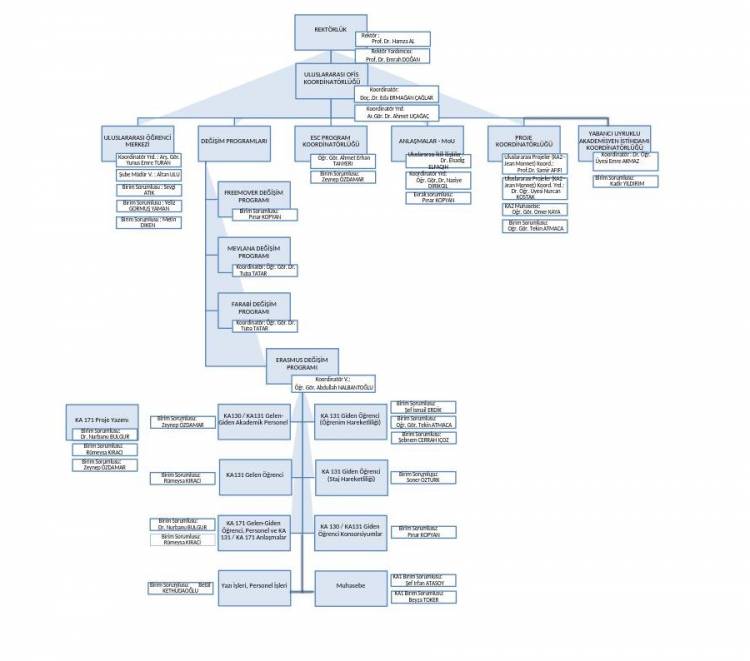 Organisation Chart